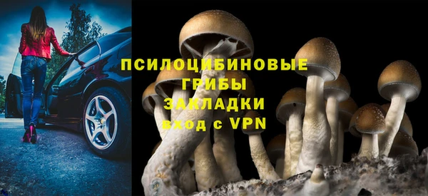 мескалин Бронницы